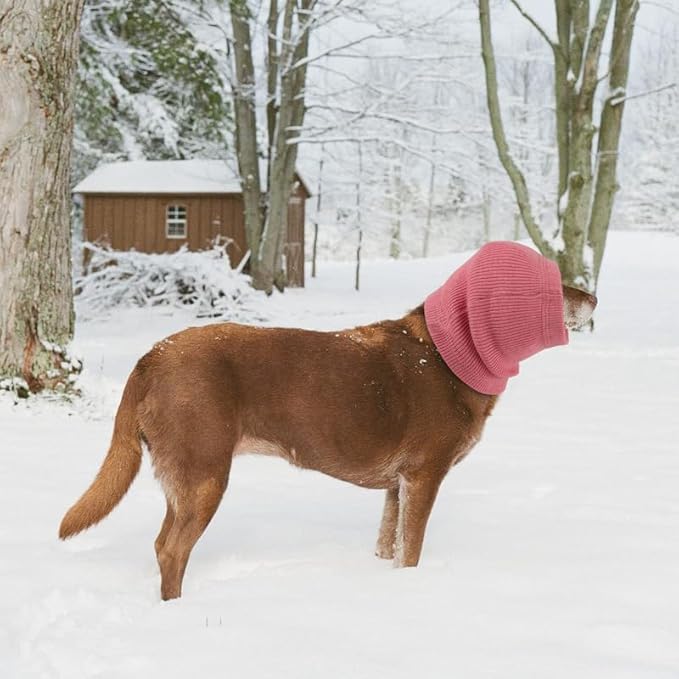 Dog Ear Cover Hematoma Noise Cancelling Protection Quiet Head Cover for Dog Wine+Blue-L