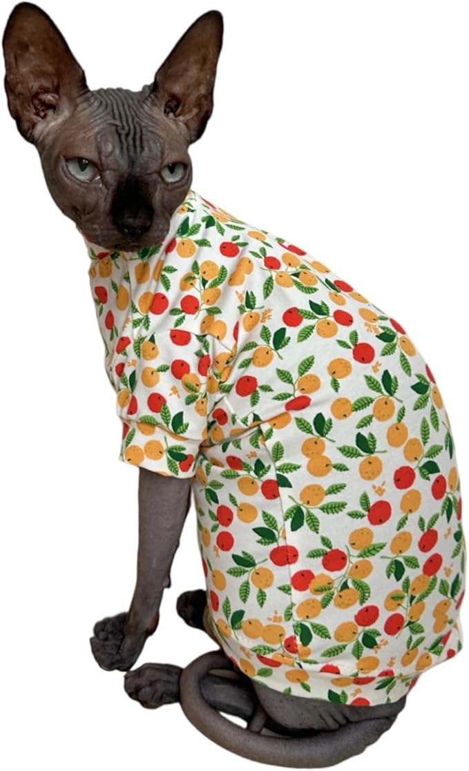 Limited Edition Sphynx Cat T-Shirts Elastic Hairless Cat Sweatshirt Pet Kitten Clothes Round Collar Kitten Shirts Vest Cats & Small Dogs Apparel (Kumquat, S (3.3-4.4 lbs))