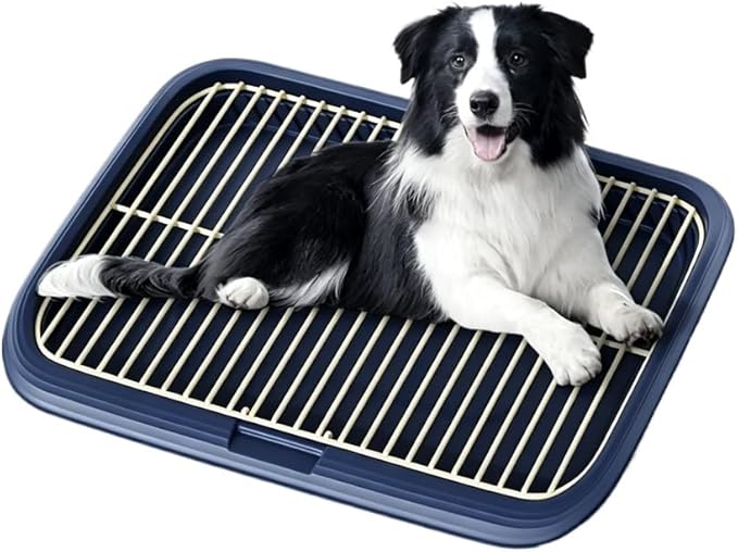 Dog Potty Tray Indoor Pet Pee Pad Holder for Small & Medium Dogs, Puppy Training Pad Holder, Pet Toilet Litter Box, Dog Bathroom Tray, Housebreaking Potty Supplies 17.72''LX12.99''WX1.97''H(Blue)