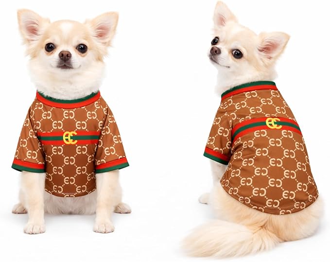 Luxury Designer Dog T Shirt – Trendy Puppy Clothes for Small Dogs, Fashion Pet Tee for French Bulldogs & Chihuahuas, Everything Chic Dog Apparel (GucchewiTee, Small)
