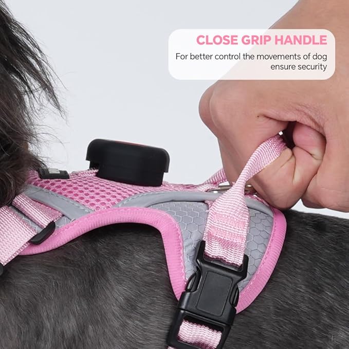 Cat Harness and Leash Set with AirTag Holder: Upgraded Escape Proof Vest with Lead for Small Dog Puppy Large Cat Walking，Soft Breathable Mesh Coat with Reflective Strip (Pink, S)