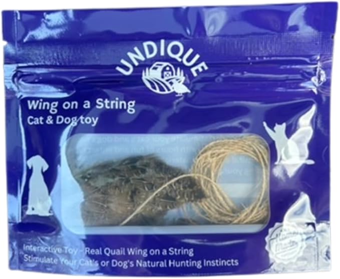 Unique Wing on String Cat Toy - Real Quail Wing Bird Scent Interactive Play for Cats, Dog Training Accessory