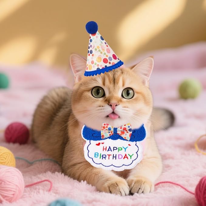 Cat Birthday Party Supplies, Girl Boy Cat Kitten Birthday Bandana Hat Numbers Decorations Outfits Set, Blue