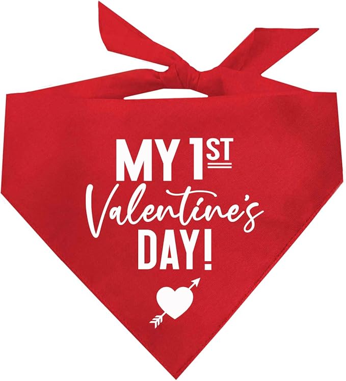 My First Valentine's Day Dog Bandana | 100% Cotton Adjustable Triangle | Made in USA | Valentine's Day | Love & Hearts |Red, One Size (158)