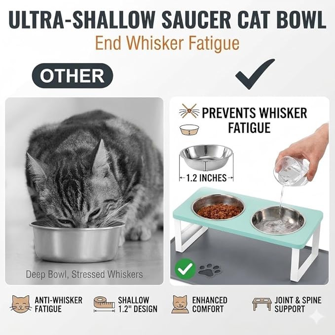 Upgraded Elevated Cat Bowls with Food Mat,15°Tilted Stand Anti Vomiting Raised Cat Dishes for Food and Water,2 Stainless Steel Bowls for Cats and Puppy（Teal）
