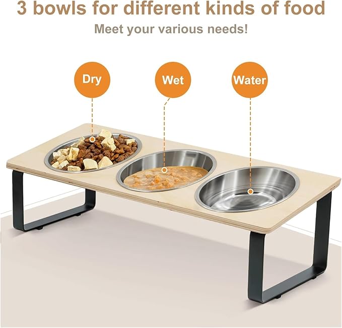 Elevated Cat Bowls Feeder 15° Tilted Raised Feeding & Watering Supplies Pet with Stand for Cats Puppies