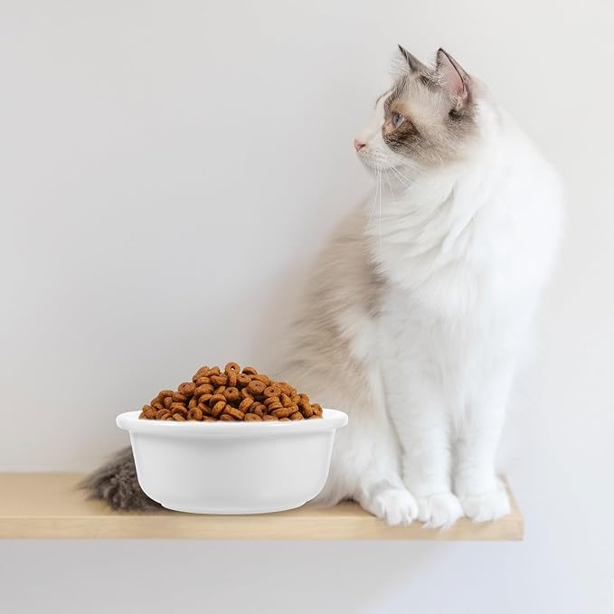 ULTECHNOVO Ceramic Cat Bowl Pet Feeding Dish Food and Water Bowl Porcelain Kitten Feeder for Household Cats and Small Pets