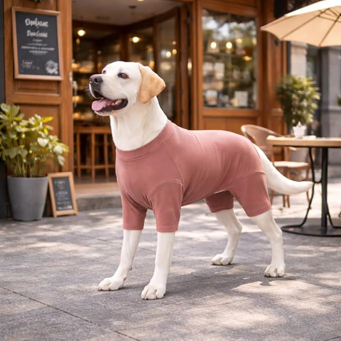Lovelonglong Dog Full Bodysuit – Stretchy Yoga Fabric 4-Leg Dog Pajamas, Breathable & Lightweight Dog Onesie for Indoor & Outdoor, Shedding Control & Travel Wear