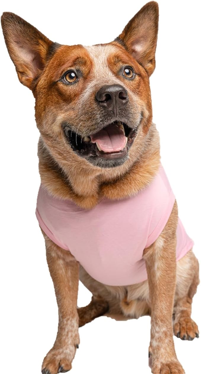 Big Brother Boho Gender Reveal/Baby Announcement Dog Tee Shirt | Sleeveless | Sizes for Puppies, Toys and Large Breeds (Baby Pink, 3X-Large 774)