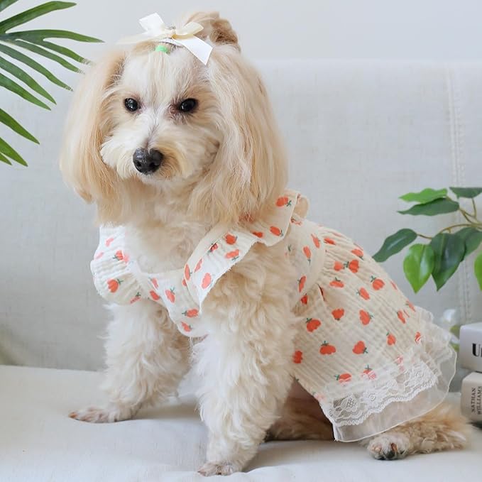 1 PC Adorable Flower Pattern Ruffle Trim Dog Cat Dress Princess Style Lace Trim Summer Outfit for Small to Medium Pets Yellow Pet Apparel for Kittens and Puppies M