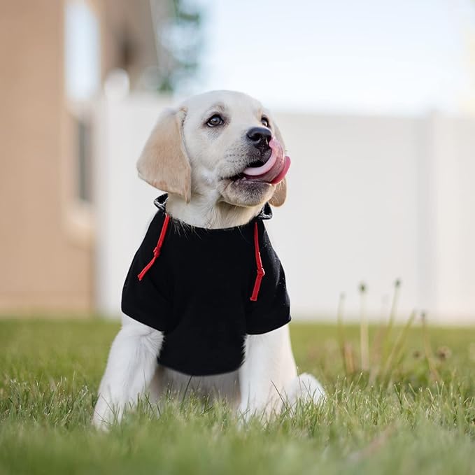 SAWMONG Dog Hoodie,Flannel Pet Hooded Sweater with Hat Puppy Pullover Sweater Shirt,Dog (Black,L)