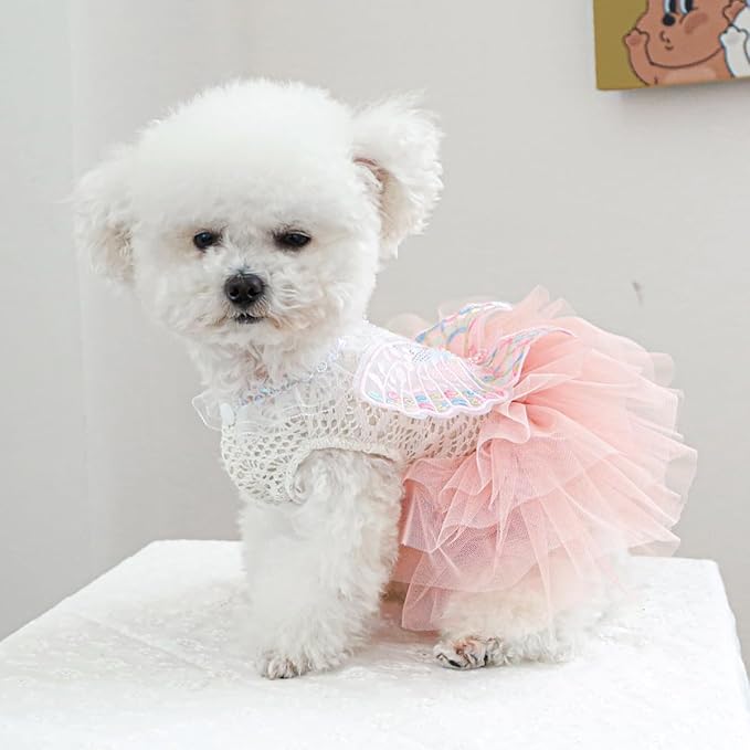 Fairy Dog Dress Cat Princess Outfit with Pink Tulle Skirt & Butterfly Wings, White Knit Top with Lace Collar, Pet Clothes for Small Dogs Cats Birthday Wedding Halloween14.3-17.6lbs(Pink,XL)