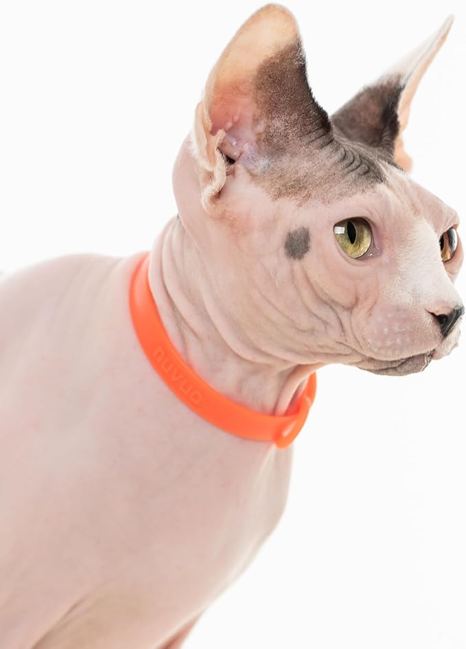 Silicone Cat Collars 2 Pack - Soft, Comfortable, and Lightweight Safety Breakaway Collar with Name Tag Ring for Outdoor Cats and Sensitive Skin Kittens by Nuvuq (6 ⅞" to 10 ¼", Orange)