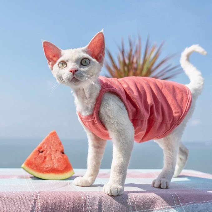 Hairless Cats Solid Cotton Camisole, Breathable Summer Tank Tops for Sphynx, Cornish Rex, Devon Rex, Peterbald, Cat Wear Hairless Cat Clothes Soft Skin-Friendly Cats Apparel Assorted Colors and Sizes