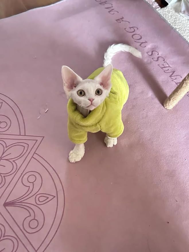 Sphynx Cat Clothes Winter Turtleneck Soft Coral Fleece Cat Clothes Thicken Warm Pajamas Coat for Hairless Cats and Small Cat Apparel with Sleeves (Avocado Green, L (6-9.3lbs)