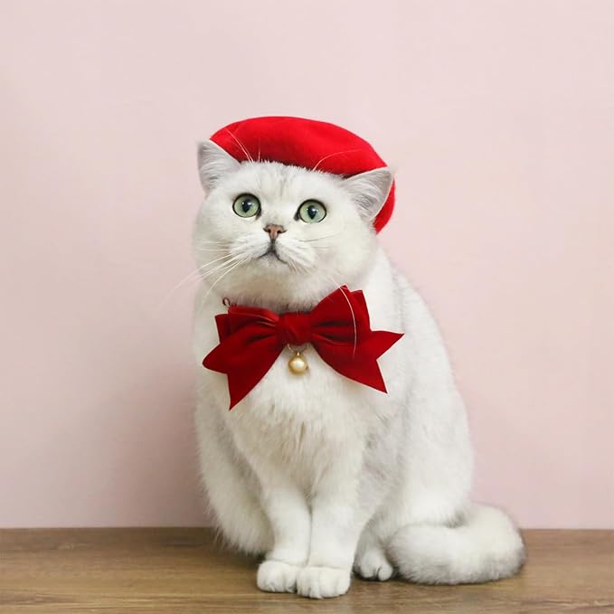 Pet Cat Dog Beret Hat Funny Artist Wool Beret Hat Pet Headwear Fashion Accessories for Winter Birthday Party (Red)