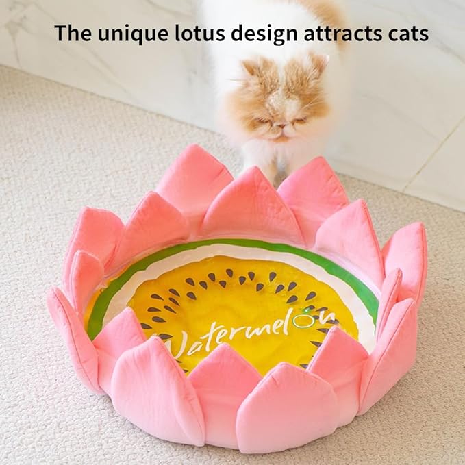 Scratching Board Toy Round Scratching Pad Anti-Scratch Post Corrugated Paper Lounge Bed Scratch Board for Boredom Interactive Toy Nest Bed Pet Supplies for Cats Furniture (Nest with Accessories)