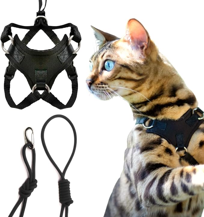 Cat Harness and Long Leash (14FT) - Escape Proof, Choke Free, Lightweight OutdoorBengal - Vest + Black Lead for Walking Cats (M)
