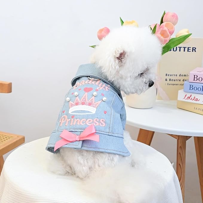 Denim Dog Jacket for Small Dogs & Cats, “Daddy’s Princess” Embroidered Pet Coat with Pearls & Bow, Light Blue Jean Outfit with D-Ring, Cute Apparel for Walks, Photos, Parties & Holidays(L)