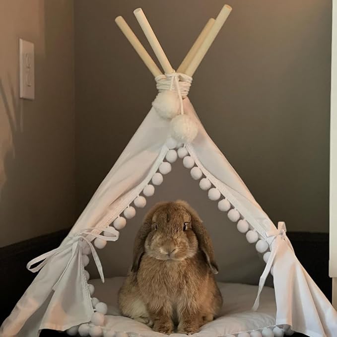 MINICAMP Pet Teepee Tent with Padded Mat – Cozy Cotton Hideaway Tent for Rabbits, Puppies, Cats & Guinea Pigs – Pet Accessories for Indoor - Made in EU XS