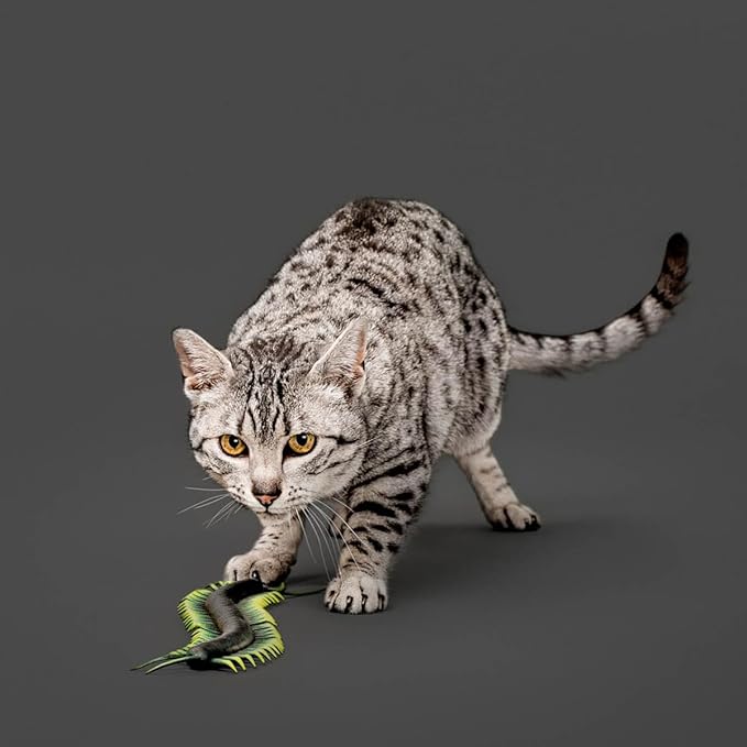 Playology Cat Toys | Catnip Toy Centipede for Chewing Chasing and Pouncing | Interactive Cat Toys for Indoor Cats