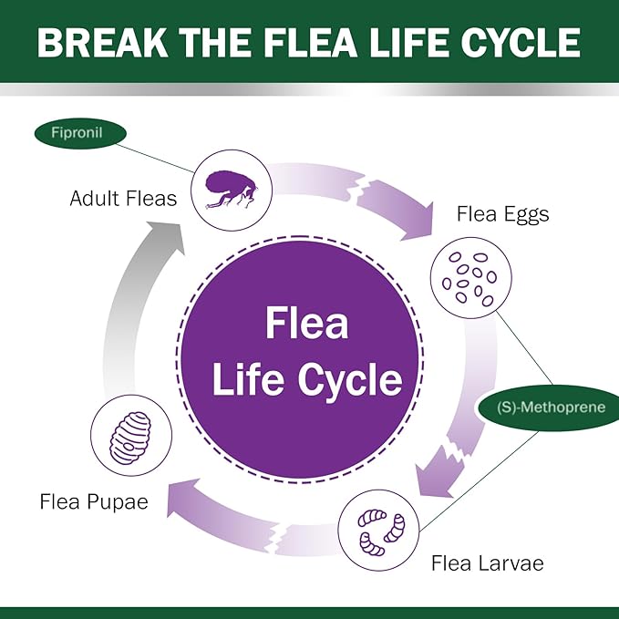 Flea and Tick Prevention for Cats, Weighting Over 1.5 lbs, Cat Flea and Tick, Fast Acting, 6-Month Supply, Supplement