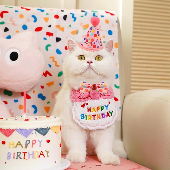 Cat Birthday Party Supplies, Girl Boy Cat Kitten Birthday Bandana Hat Numbers Decorations Outfits Set, Pink
