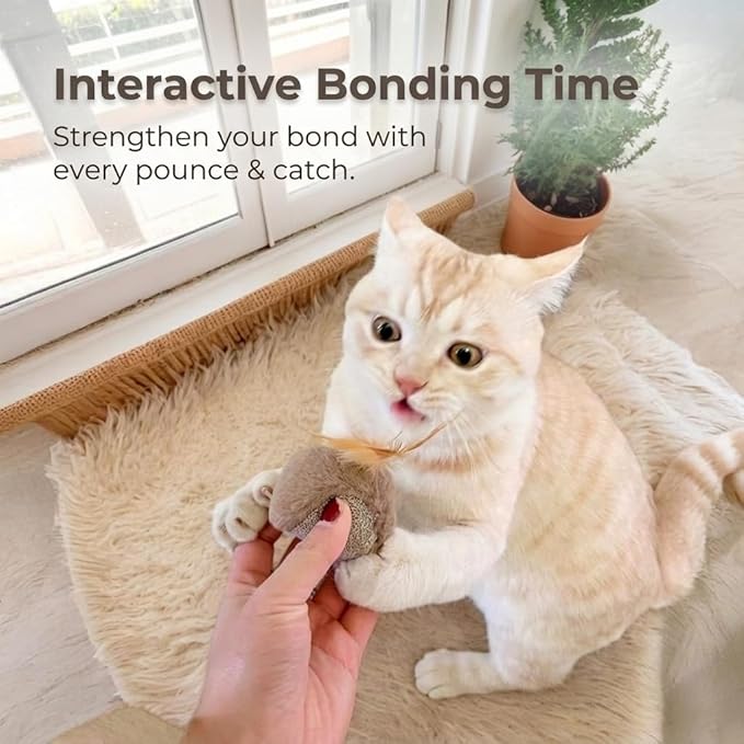 Tails & Tales Cat Toys Owls, Catnip & Silvervine Plush, Bite-Resistant & Soft Interactive Toys for Indoor Cats & Kittens, Reduces Stress & Encourages Activity, Pack of 4