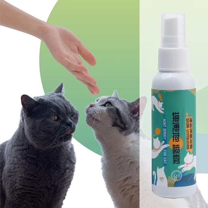 Catnip Spray 1.7 Oz Safe Treat for Indoor Cats Maximum Potency for Kitten Temptations Plastic Bottle Packaging