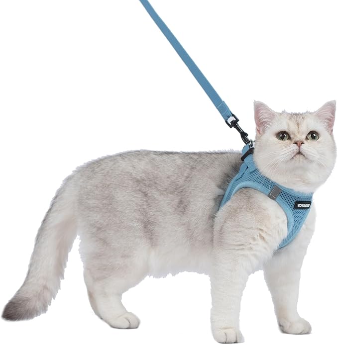 Voyager Step-in Pet Harness - All Weather Mesh, Adjustable Step in Harness for Cats and Dogs by Best Pet Supplies - 307S Baby Blue, XS