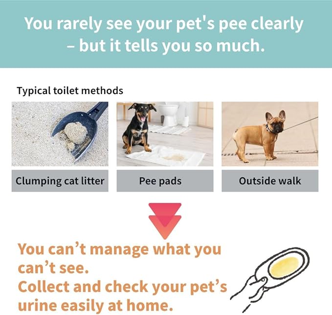Cat & Small Dog Urine Collection Starter Kit (2 Uses) - Free-Catch Disposable Paper Trays, Test Strips & Droppers - Supports Midstream Clean-Catch - Easy At-Home Samples for Vet Visits - Made in Japan