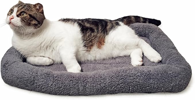 LESYPET Cat Bed for Indoor Cats, Soft Cat Cushion with Cat Pillow Around, Rectangle Kitten Pad Small Bed for Window Sill, 22'' x 16''