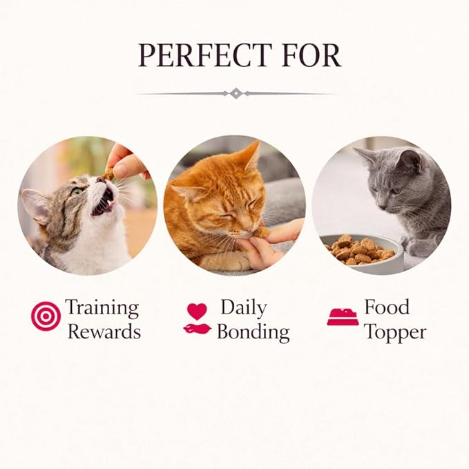 Calming Cat Treats for Indoor Cats – Crunchy Pillow Bites Gooey Center – Beef Low Calorie Kitty Treats – Cat Snacks Food Topper Wheat Soy Free Healthy Dental – 3oz (Packaging May Vary)