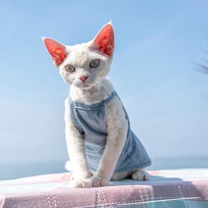 Hairless Cats Solid Cotton Camisole, Breathable Summer Tank Tops for Sphynx, Cornish Rex, Devon Rex, Peterbald, Cat Wear Hairless Cat Clothes Soft Skin-Friendly Cats Apparel Assorted Colors and Sizes