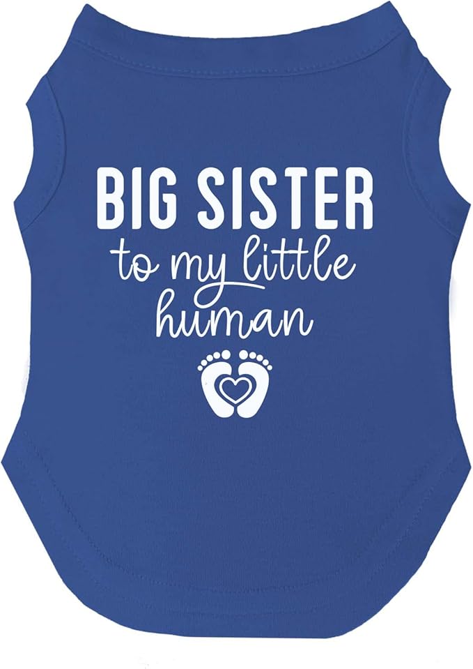 Big Sister to My Little Human Dog Tee Shirt | Sleeveless | Pregnancy Announcement | New Baby | Gender Reveal | Photoshoot (Royal Blue, X-Large 192)