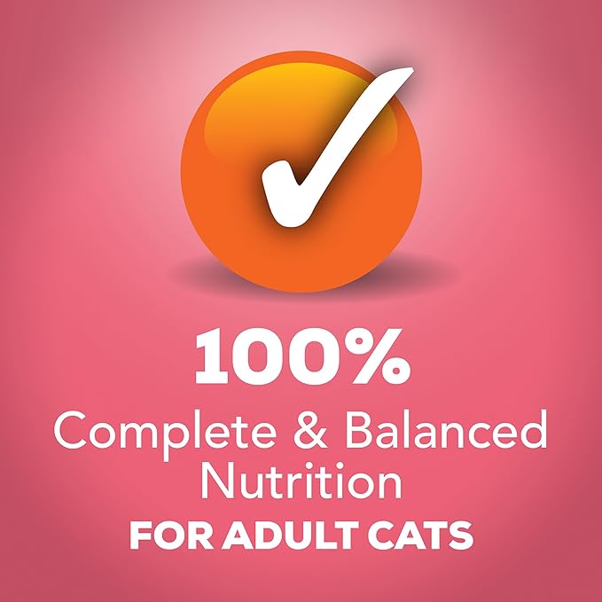 Friskies Purina Extra Gravy Wet Cat Food Chunky with Salmon in Savory Gravy - 5.5 oz. Cans,(Pack of 48)