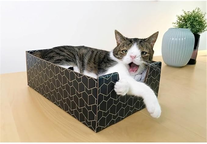 BOWERY HILL Premium Corrugated Cardboard Cat Box, Peek-a-Boo Cutout Design, Durable Blue Finish, Cozy and Interactive Lounger, Stylish Pet Accessory for Indoor Cats