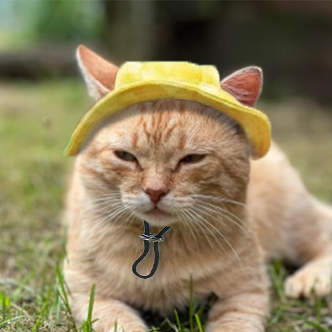 Pet Hat with Ear Holes Sunscreen Cap, Adjustable String Dog Cat Summer Sun Hat,Cat Dog Bucket Hat for Birthday Party Costume Decoration Outdoor Hiking (Yellow, Large)