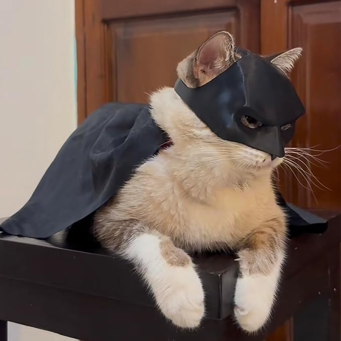 Lamiarga Cat Costume for Cat and Cat Mask Cosplay Set, Black Leather Cape Outfit for Halloween, One Size Fits All Cat Breeds