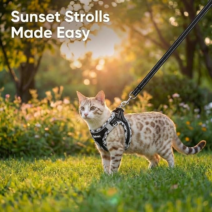 Cat Harness and Leash Set for Walking, Escape Proof Adjustable Soft Mesh Kitten Harness with Reflective Strips, Breathable No-Choke Pet Vest for Small Cats or Puppies(Black,S)