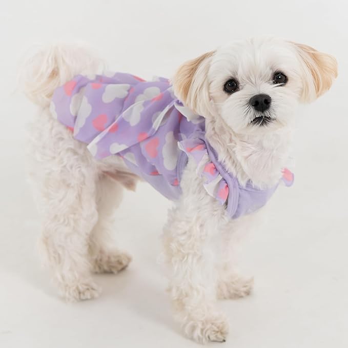 Pinkaholic New York Suri Dog One-Piece Dress Trendy Fashionable Cute Elegant Dog Apparel for Small Dogs, Purple, Medium