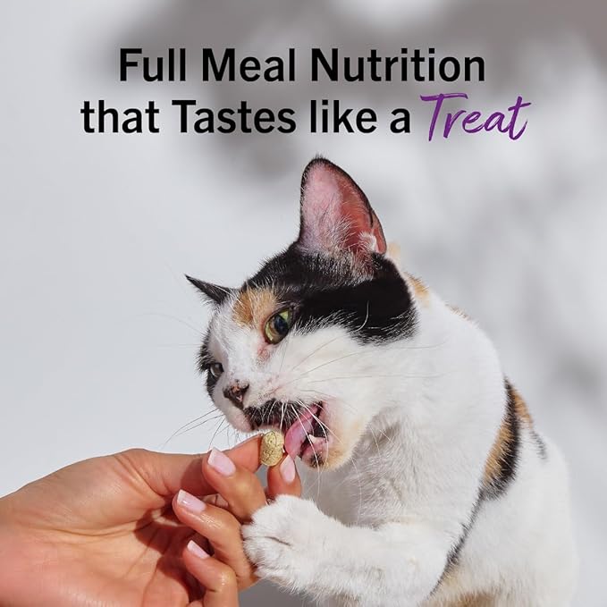Stella & Chewy's Freeze-Dried Raw Cat Dinner Morsels - Premium Duck & Goose Recipe with 98% Cage-Free Poultry & Organs - Natural Grain-Free Cat & Kitten Food - Made in USA - 18 oz