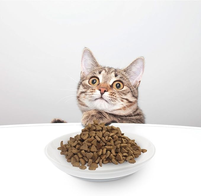 KALLORY Ceramic Cat Food Bowl Set 3pcs with Wide Shallow Dish, Non-Slip Gray Silicone Base, Small Round Pet Bowls for Kitten Feeding and Watering