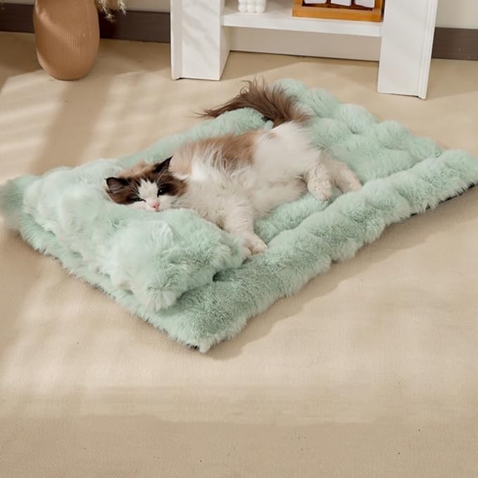 Cat Bed Mat Dog Crate Pads, Cat Beds for Indoor Cats Small Dogs, Plush Pet Bed Mats Faux Fur Dog Crate Mat with Removable Pillow for Cages/Floor/Couch (Green-with Pillow,S-15.7 * 19.6 in)