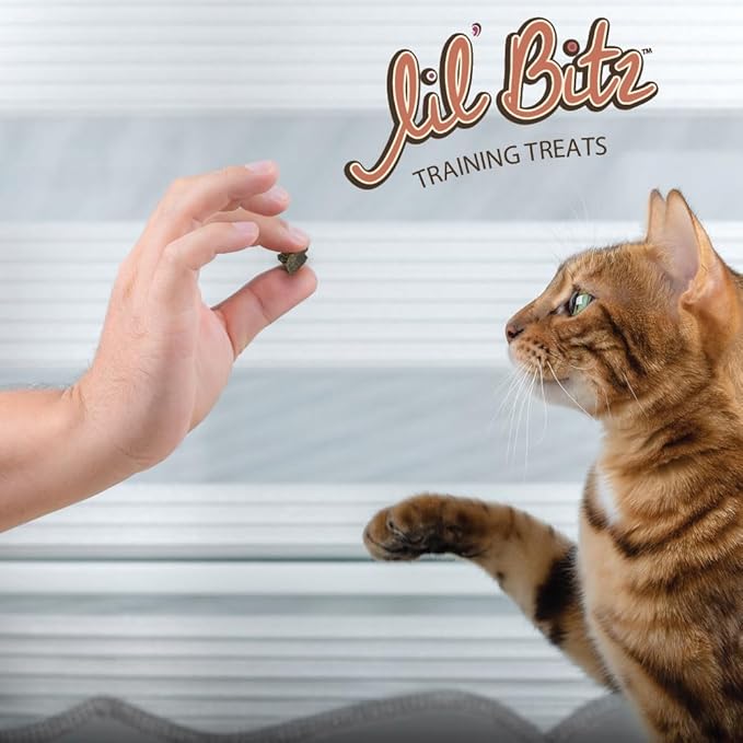 Lil' Bitz Soft & Chewy Cat Treats, Bite Size Rewarding Treats for Cats, Made with Natural Ingredients, Salmon & Liver Flavor, Perfect for Training & Bonding, 6 Pack (3 oz Each)