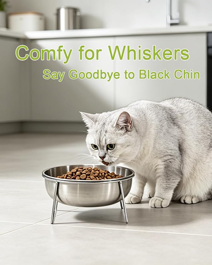 15° Tilted Cat Food Bowls 304 Stainless Steel Kitten Food Bowl Raised Food and Water Dish for Cats Elevated Cat Bowl Plate Stand Whisker Friendly Smooth Polished Easy to Clean Dishwasher Safe 1PACK