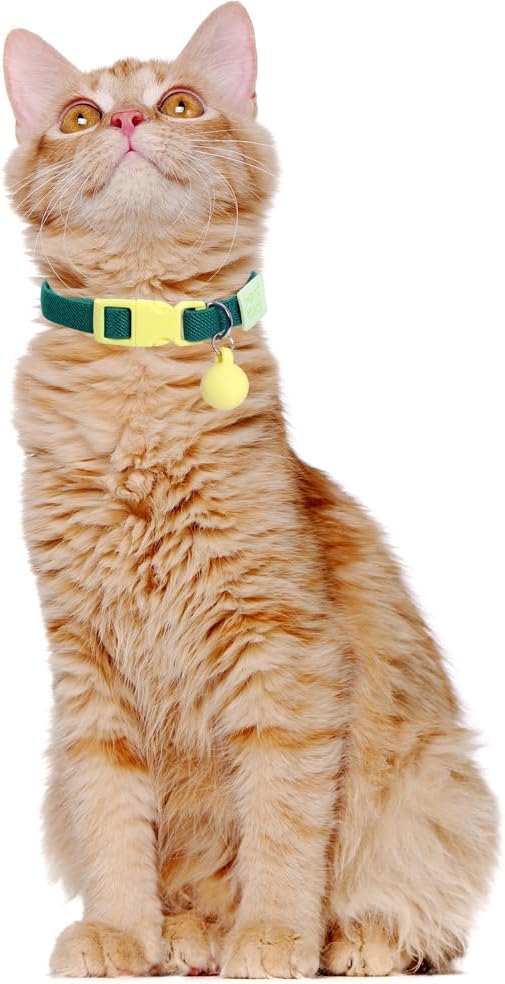 Lamphyface 2 Pack Eastic Cat Collar with Solid-Color Ball Pendant Adjustable Accessory for Cats Puppy Kitten Kitty