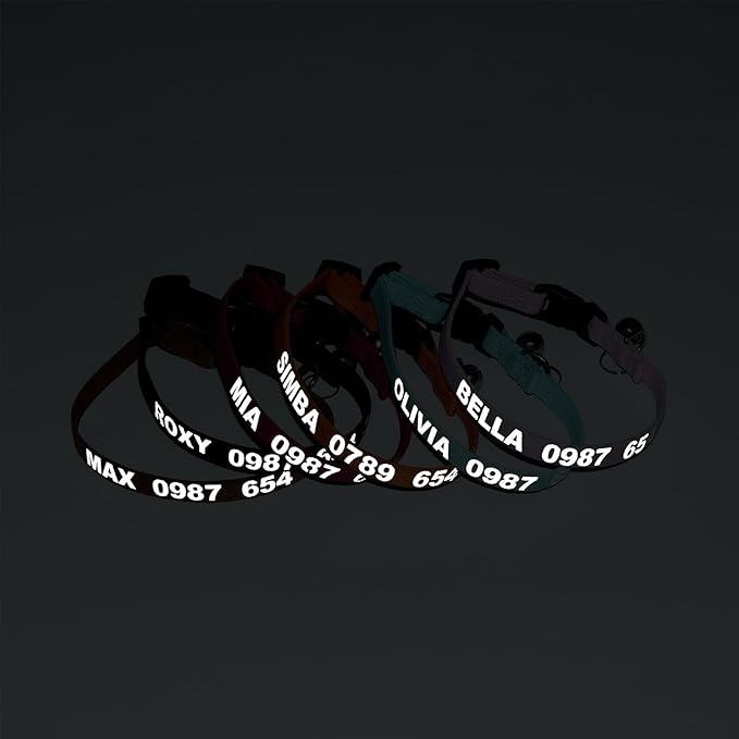Personalized Cat Collar with Reflective Text for Night Visibility, Elastic Quick-Release Non-Breakaway Design, Fits Kittens, Small & Large Cats, Safe for Daily Wear