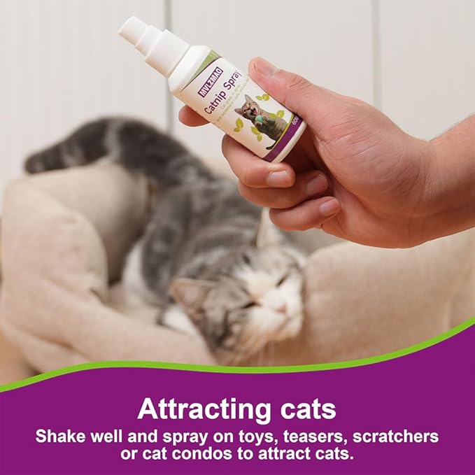 Catnip Spray for Cats, Cat Scratching Sprays, Transparent Cat & Kitten Behaviour Spray 60 ml