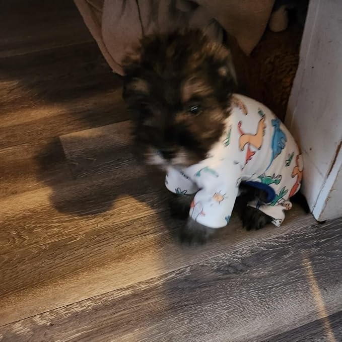 Dino Pet Pajamas Dog Jumpsuit Puppy Clothes, Cotton Pet Pajamas Kitten Soft Material Small Dog Onesie Cat Sweater Puppy Pjs Chihuahua Yorkie Onesie (Dino Pajamas, X-Large)